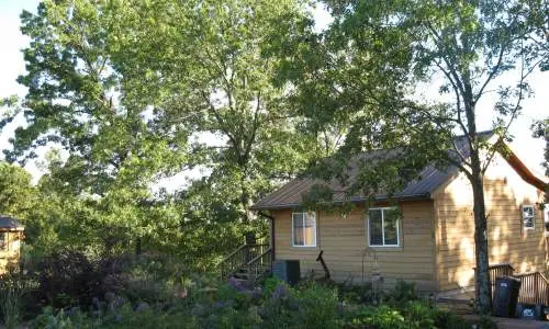Une petite cabane entre des arbres verts
