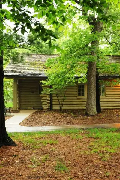 Une cabane en rondins au milieu des arbres