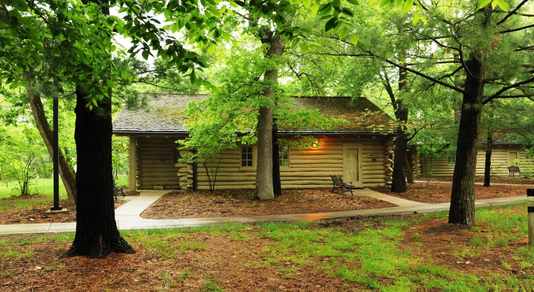 Une cabane en rondins au milieu des arbres