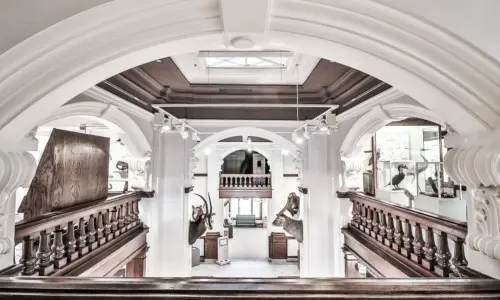 Intérieur blanc du musée