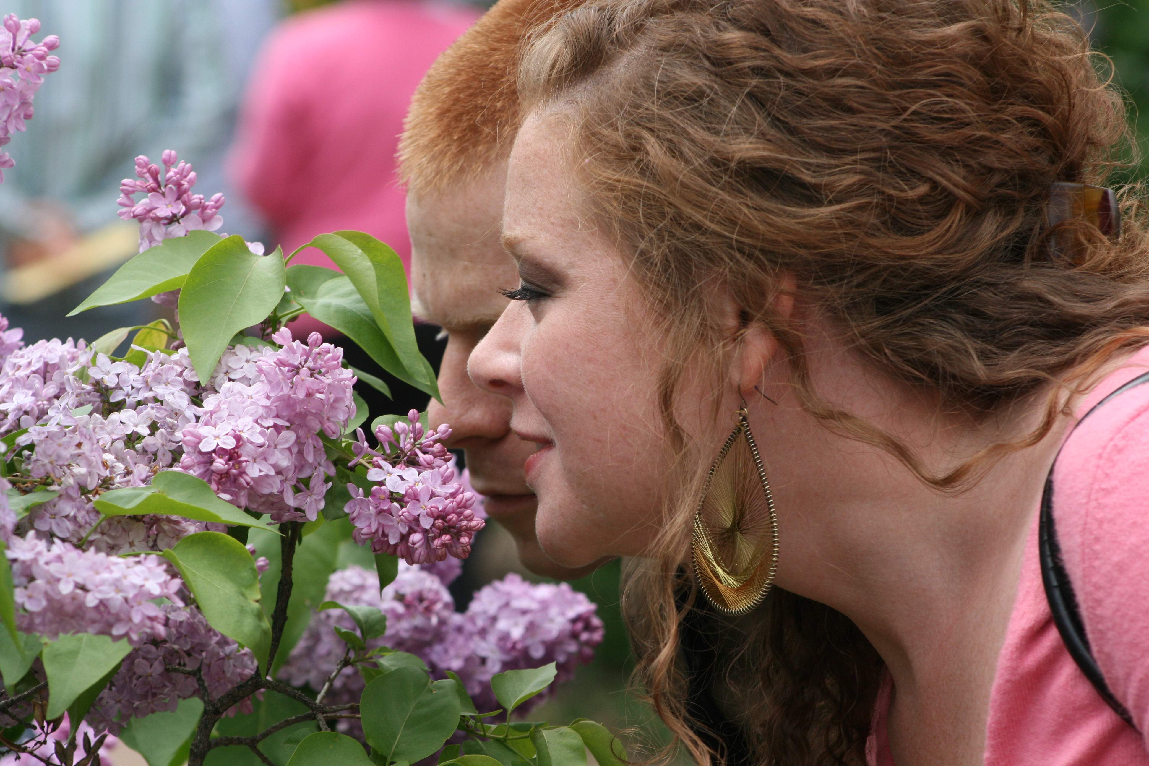 Deux personnes reniflant des lilas lors du Lilac Time Festival à Lombard