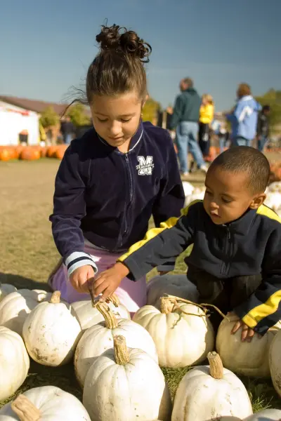 Deux jeunes enfants en veste choisissent des citrouilles dans un champ de citrouilles ; on aperçoit d'autres citrouilles et des décorations d'automne en arrière-plan.