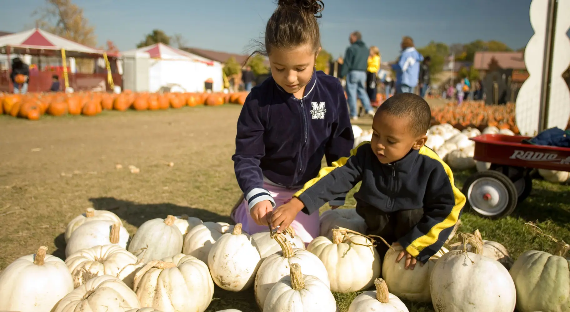 Les enfants inspectent les citrouilles