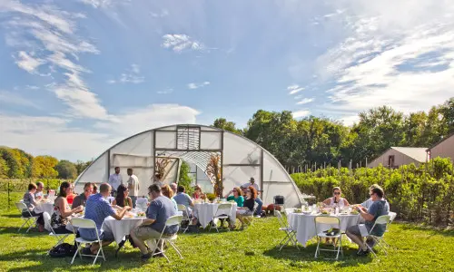 Des groupes de personnes assises autour de tables en plein air, au soleil, dégustent leur nourriture et des boissons.