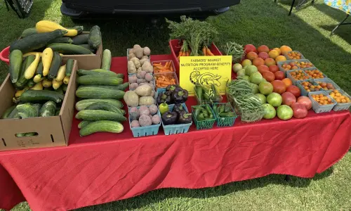 Une table de produits frais au marché fermier de Benton