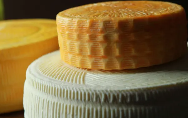 Deux meules de fromage fabriquées par Marcoot Jersey Creamery à Greenville