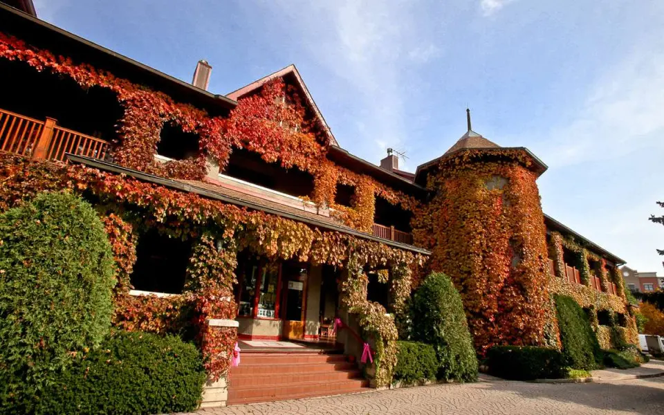 L'extérieur du bâtiment recouvert de feuilles d'oranger à l'automne