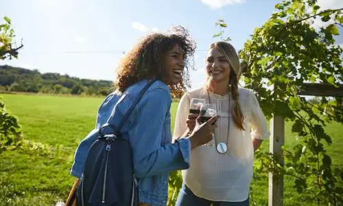 Deux filles rient en dégustant du vin rouge dans un vignoble