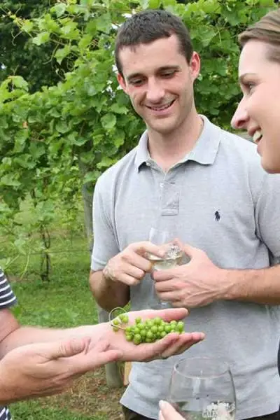 Un viticulteur parle des cépages avec les visiteurs de Galena Cellars Vineyard and Winery.