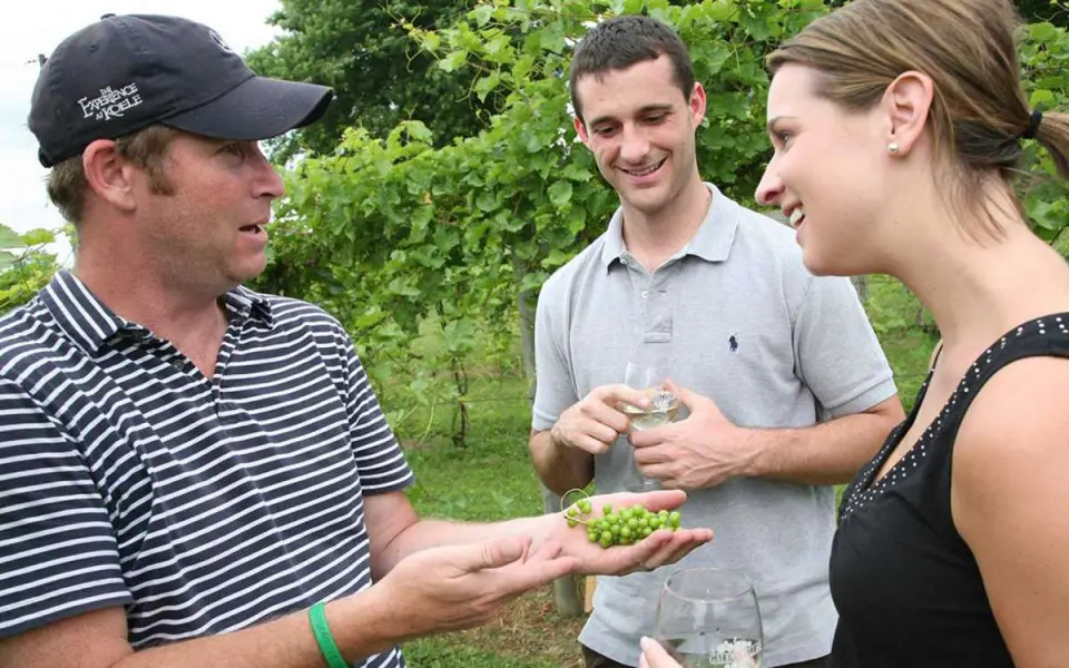 Un viticulteur parle des cépages avec les visiteurs de Galena Cellars Vineyard and Winery.