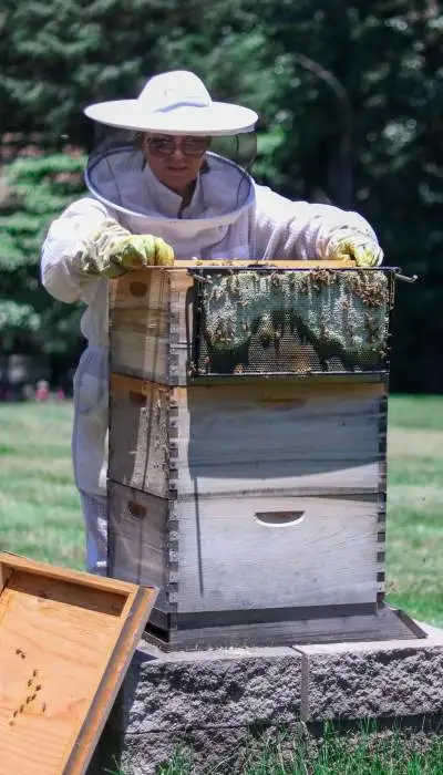 Une femme adaptée dans une ferme apicole