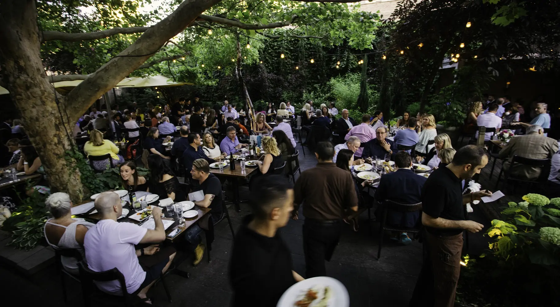 Une salle à manger extérieure bondée à la tombée de la nuit, avec des tables au milieu des arbres.