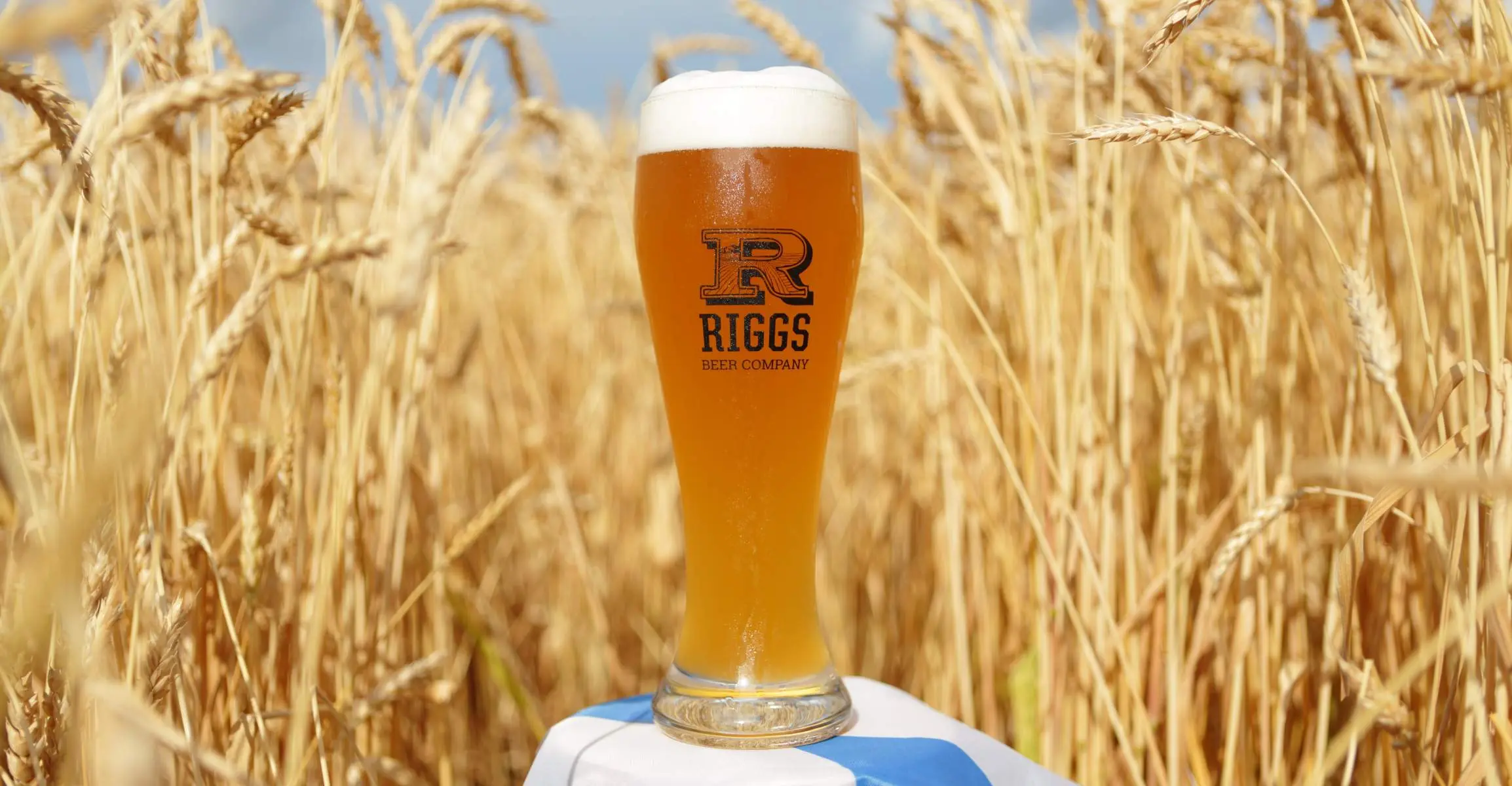Bière Riggs au milieu d'un champ.