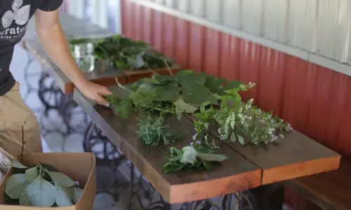 Une table avec des plantes
