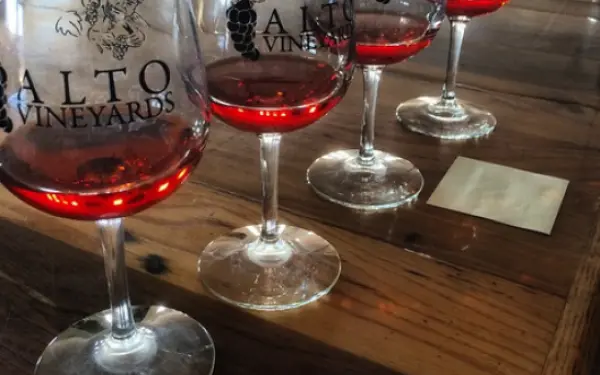 Verres à vin alignés dans la salle de dégustation du vignoble Alto.