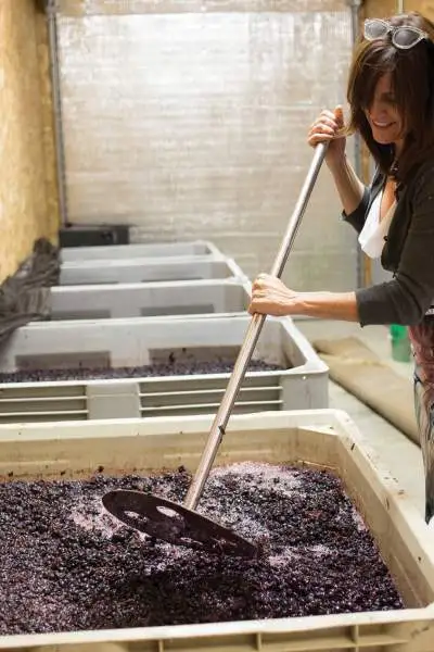 A woman mixing the grapes in a large container to make wine.