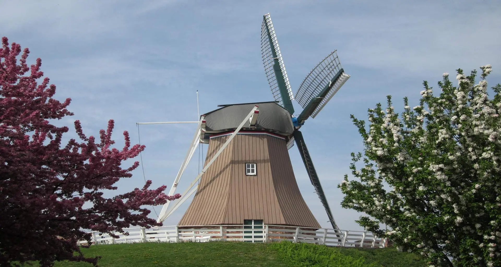 Un moulin à vent sur une colline entre deux arbres