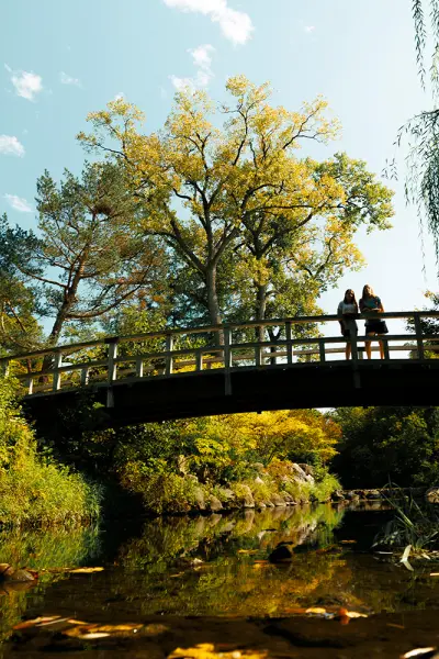 Jardins japonais d'Anderson