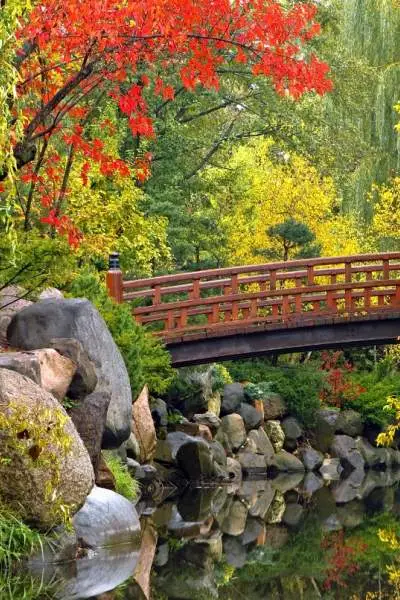 Un pont traverse un étang entouré de feuillages d'automne.