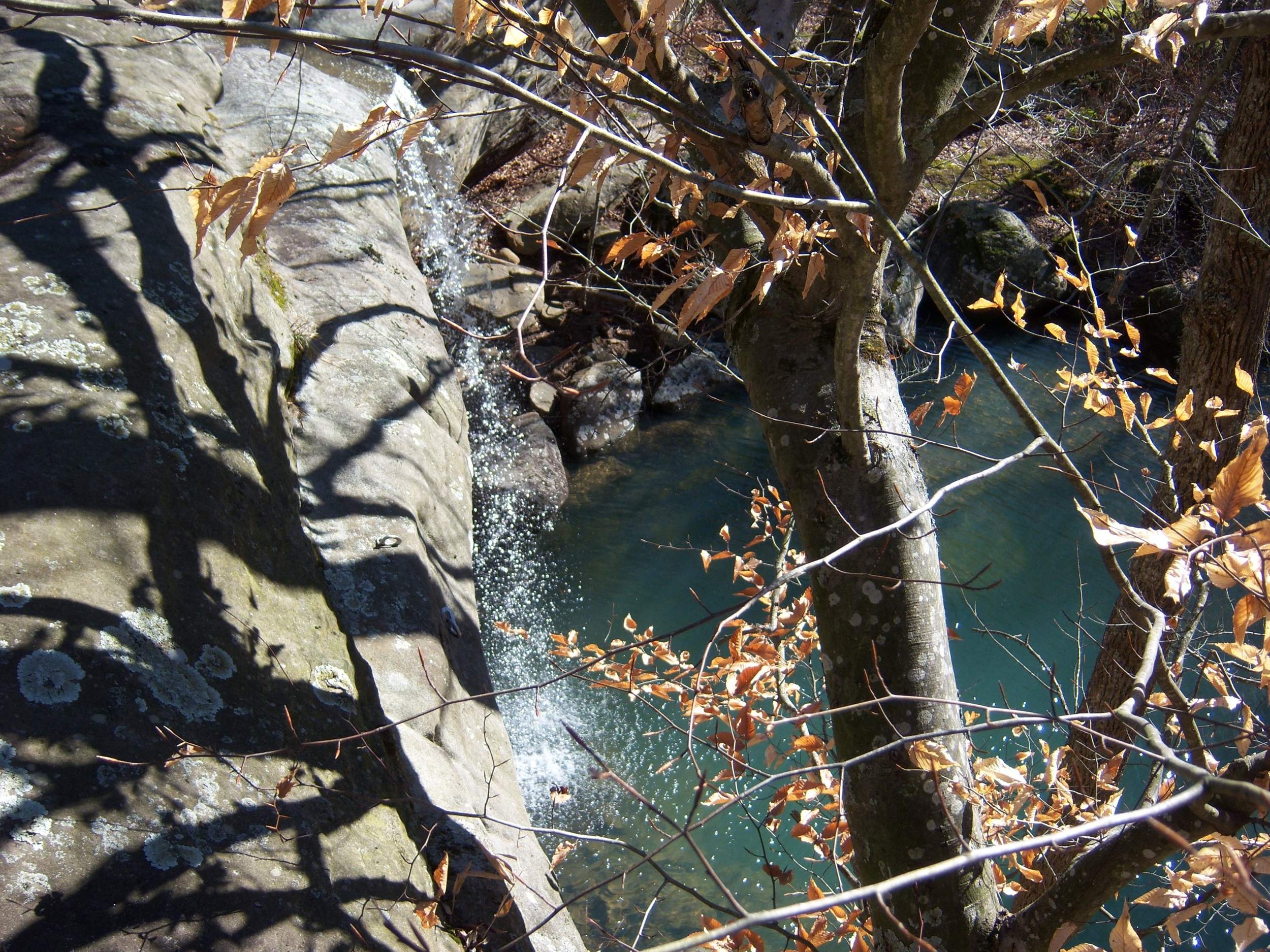 Un ruisseau cascadant sur des rochers au milieu d'arbres en fin d'automne