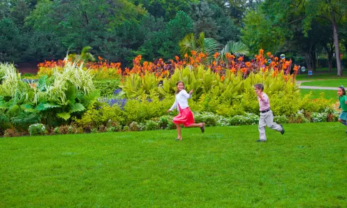 Deux enfants courant dans l'herbe