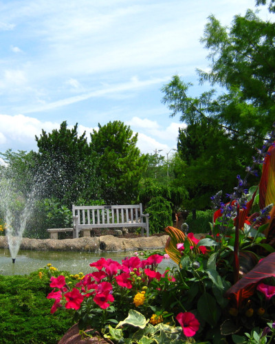 Un jardin avec un étang, une chaise et quelques fleurs