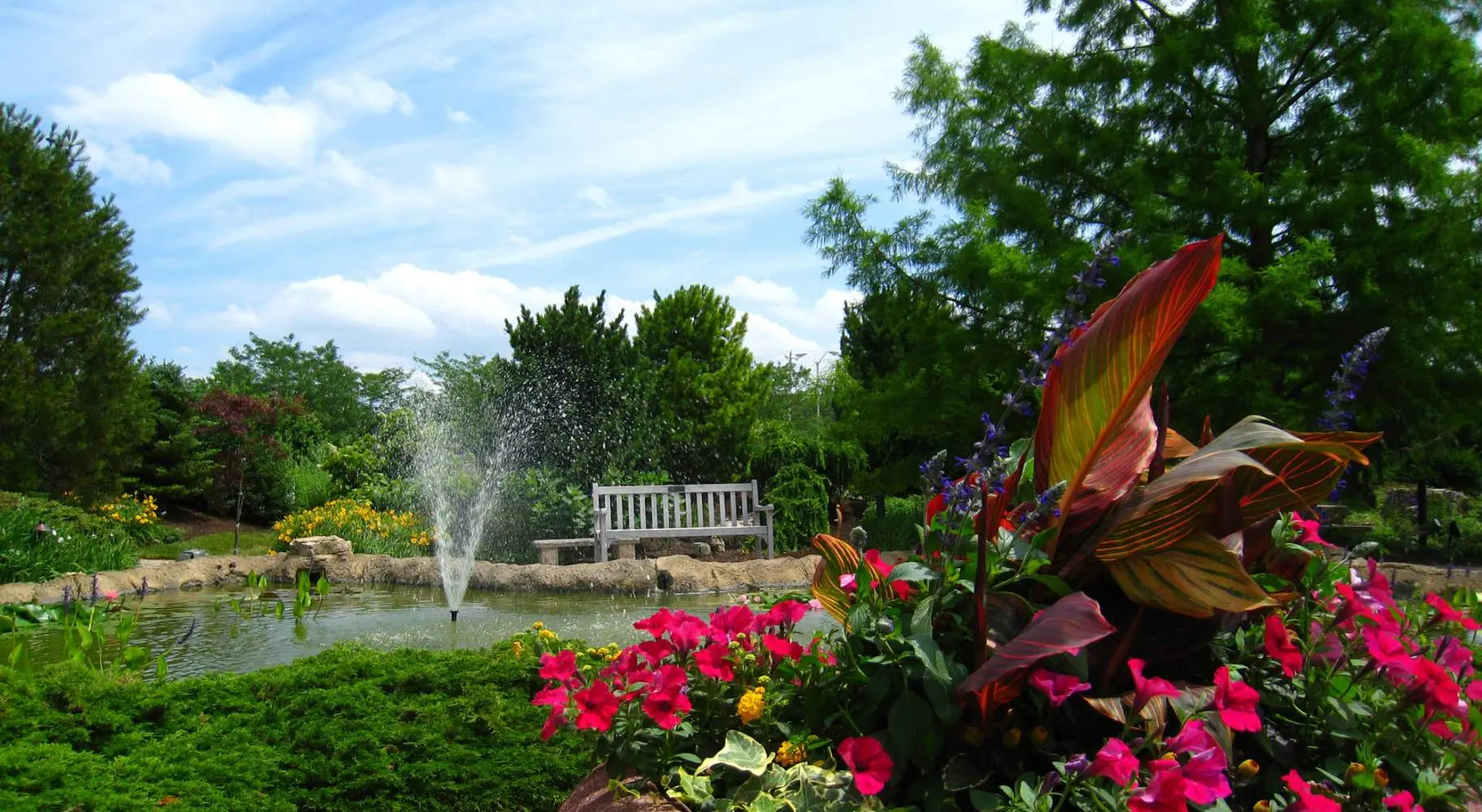 Un jardin avec un étang, une chaise et quelques fleurs