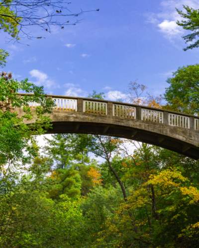 Un pont s'étendant entre deux zones boisées, sous un ciel bleu