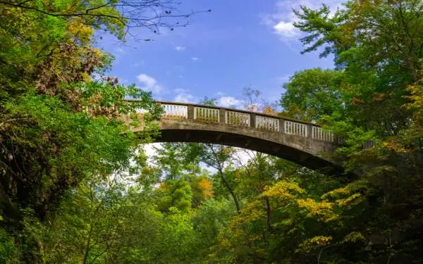 Un pont s'étendant entre deux zones boisées, sous un ciel bleu