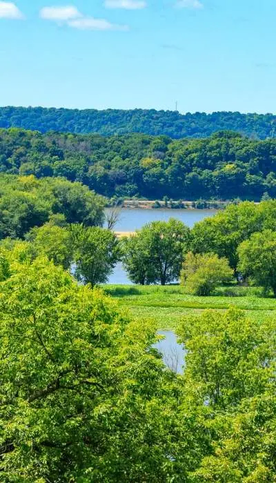 Rivière et arbres de Casper Bluff