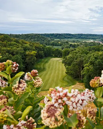 Vue d'ensemble du terrain de golf et des arbres