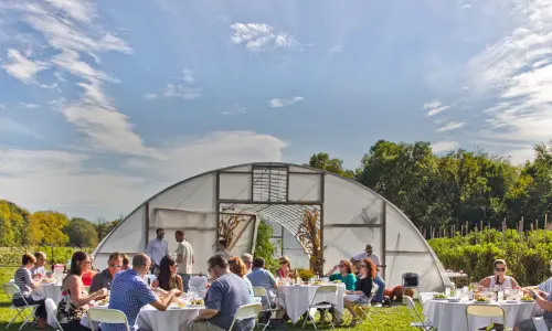 Personnes à l'extérieur avec une grande tente