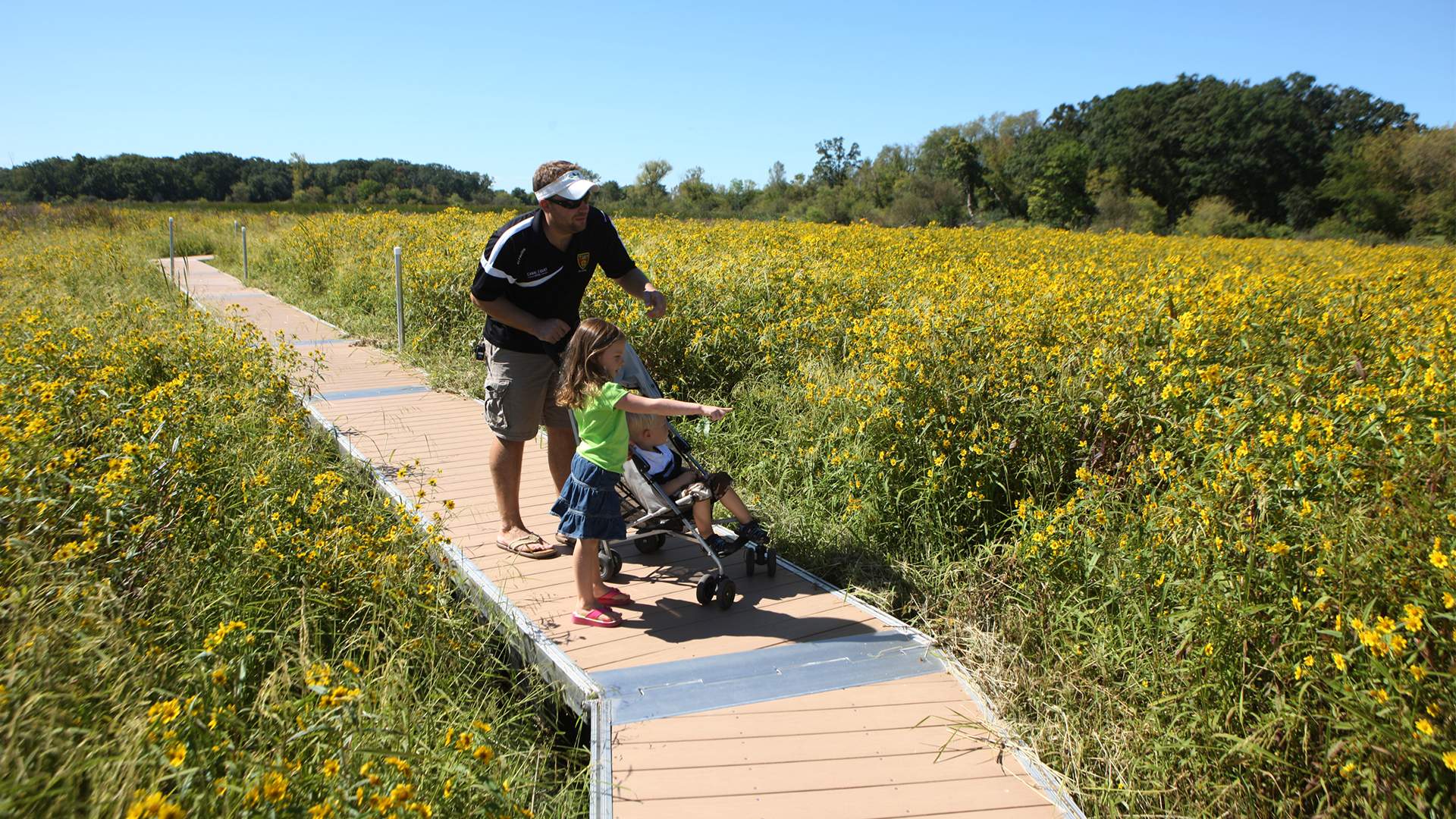 Un homme avec deux jeunes enfants sur une promenade au milieu de fleurs jaunes