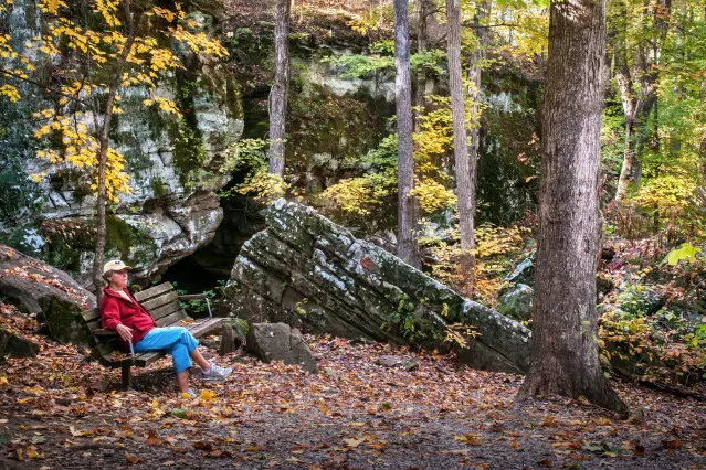 Personne assise sur un banc dans la forêt