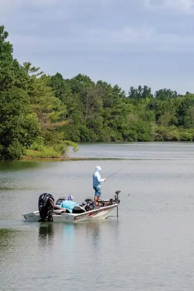 Des personnes s'aventurent en bateau sur le lac Homer