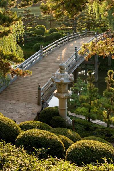 Un jardin avec un pont
