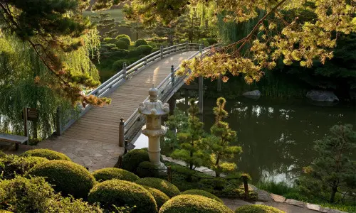 Un jardin avec un pont