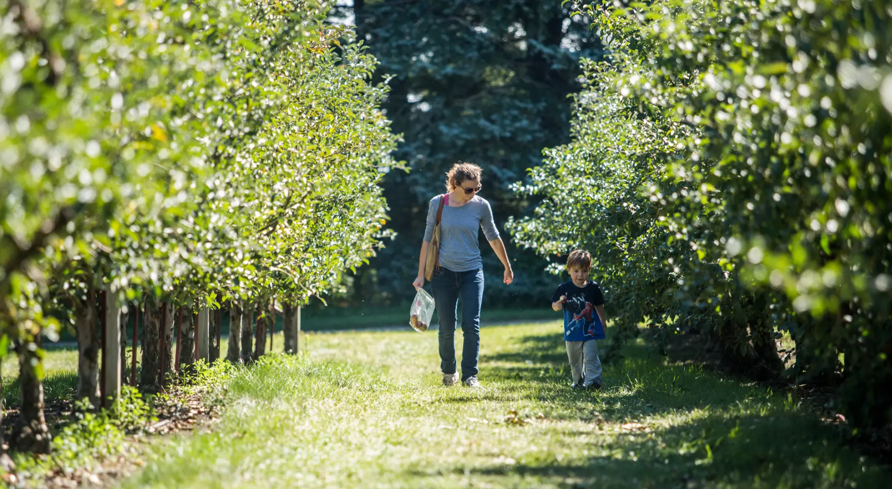 Mère et enfant marchant dans un verger