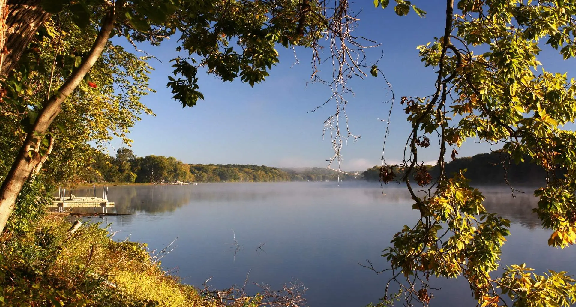 Une large rivière entre deux rives bordées d'arbres, vue du milieu des arbres