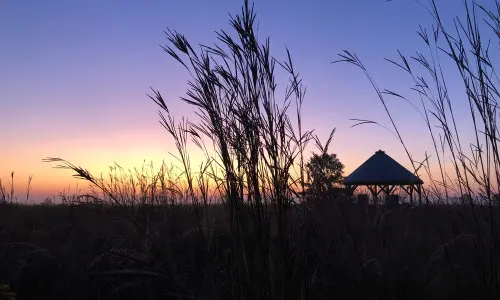 Coucher de soleil sur un champ avec de l'herbe