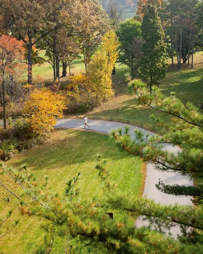 Une personne court à travers le Morton Arboretum pendant l'automne.