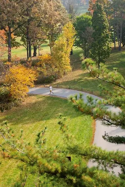 Une personne court à travers le Morton Arboretum pendant l'automne.