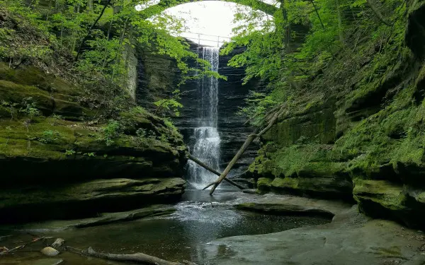 Une chute d'eau sur des rochers dans un bassin avec beaucoup de verdure et de mousse