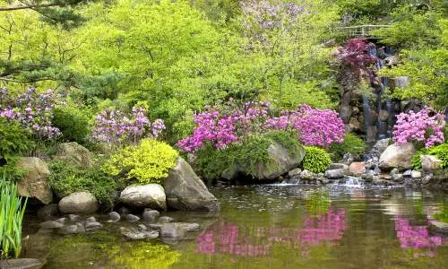 Étang du jardin Anderson.