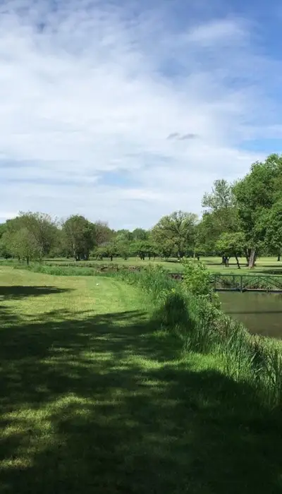 Champs verts et arbres