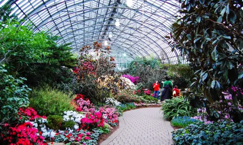 Parc intérieur plein de fleurs et de verdure. 