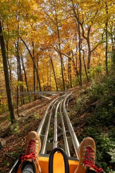 Vue des pieds et de la montagne russe alors qu'une personne monte dans la montagne russe Alpine Coaster à travers le feuillage d'automne à Aerie's Resort Grafton.