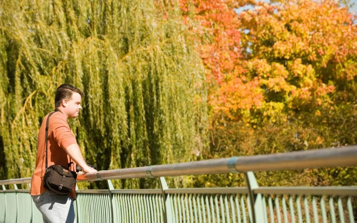 Un homme debout sur un pont surplombant les arbres aux couleurs automnales