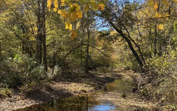 Couleurs d'automne dans l'Illinois