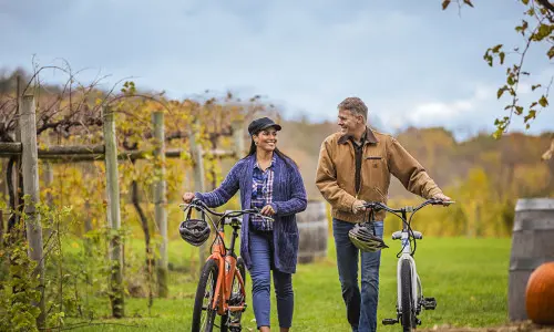 Un couple en ballade à vélo dans les vignes